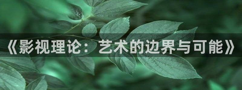 精品久久影院蜜桃.